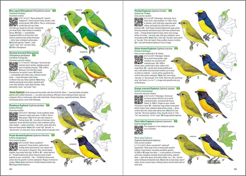 Birds of Colombia -Hilty 2021 Kovakantinen